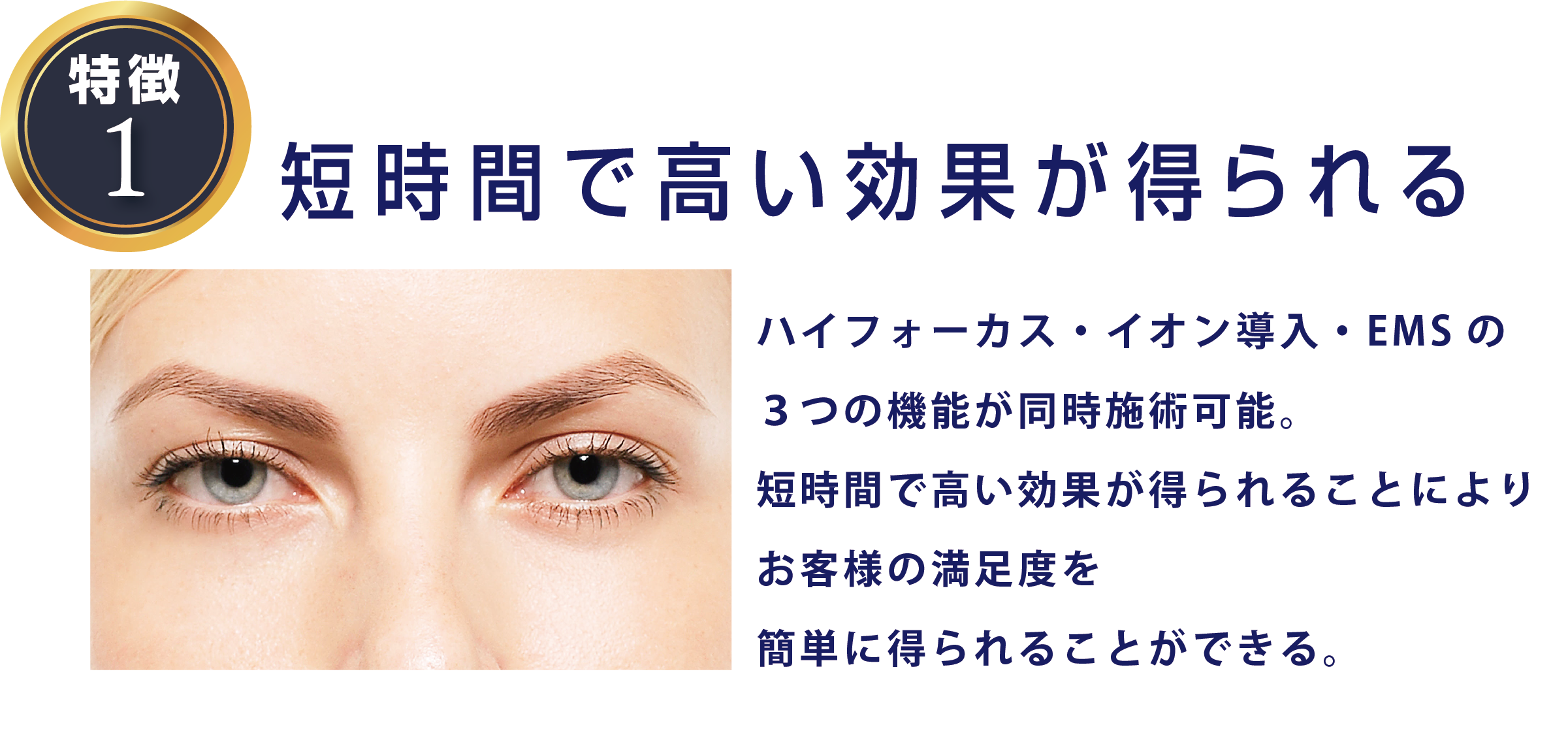 フォーカスネオプロ